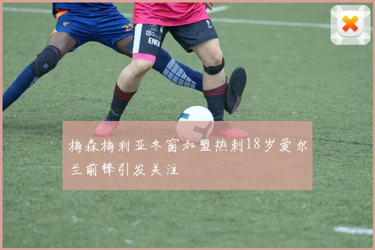 梅森梅利亚冬窗加盟热刺18岁爱尔兰前锋引发关注