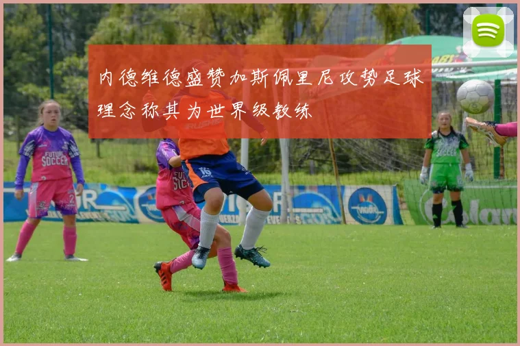 内德维德盛赞加斯佩里尼攻势足球理念称其为世界级教练
