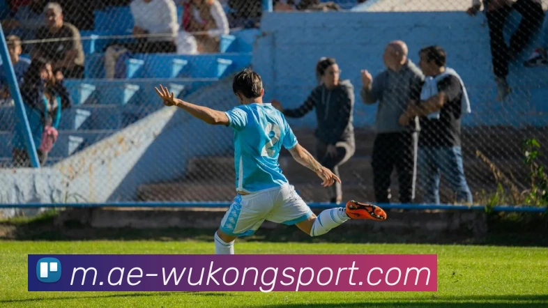 悟空体育APP 封面图